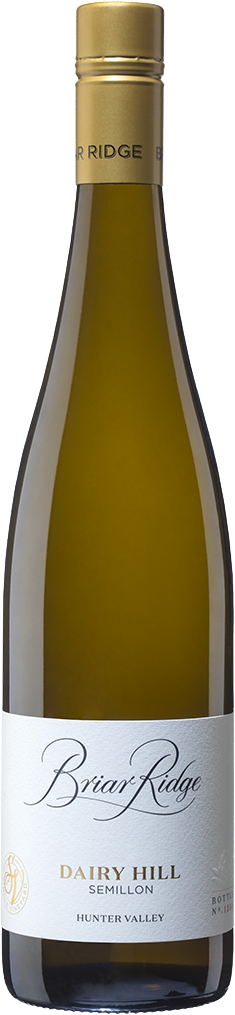 Briar Ridge Vineyard Dairy Hill Single Vineyard Semillon 2024 Hunter Valley